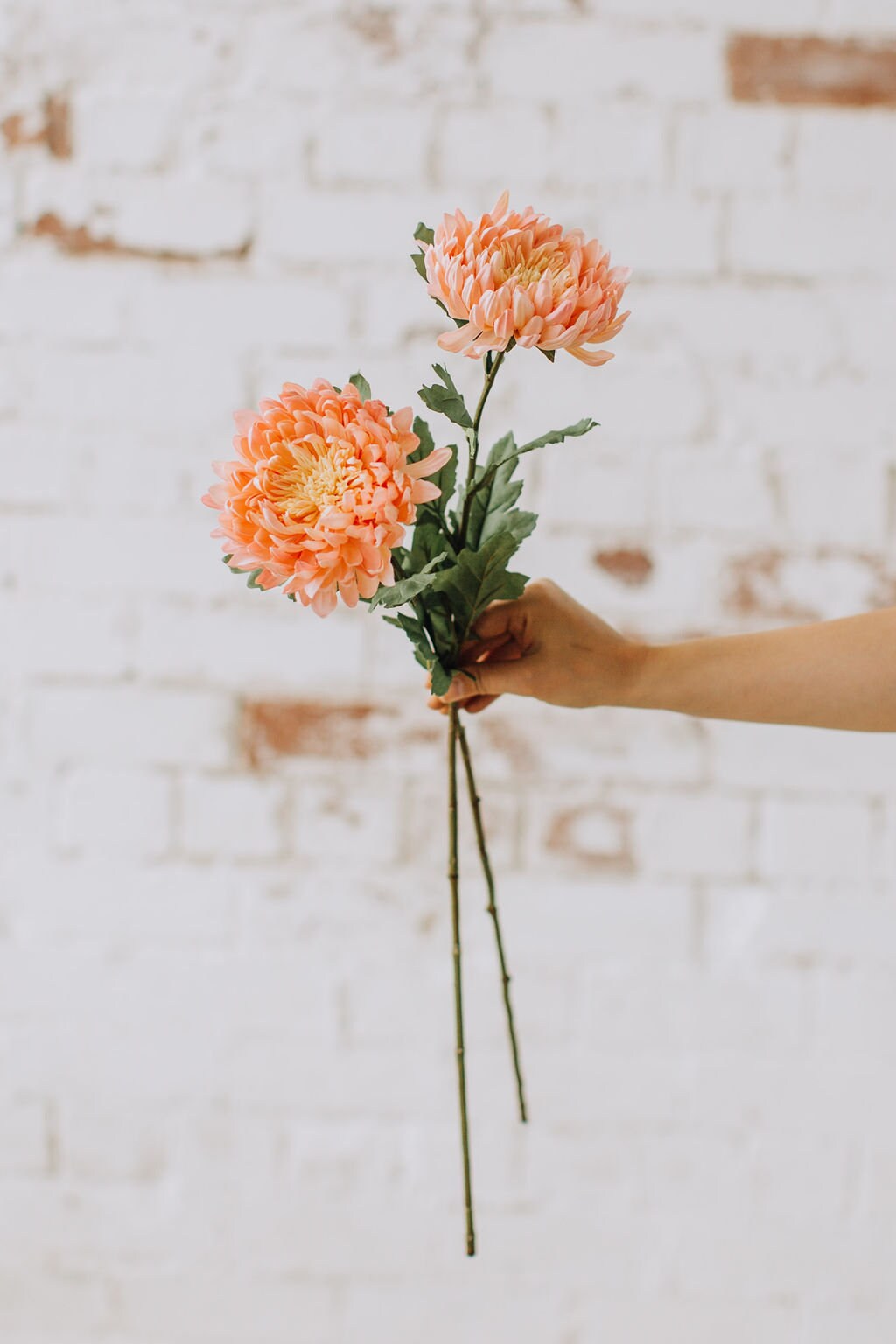 Artificial Dahlia Stem - Bright Coral with Soft Yellow and Pink Centre | 50cm