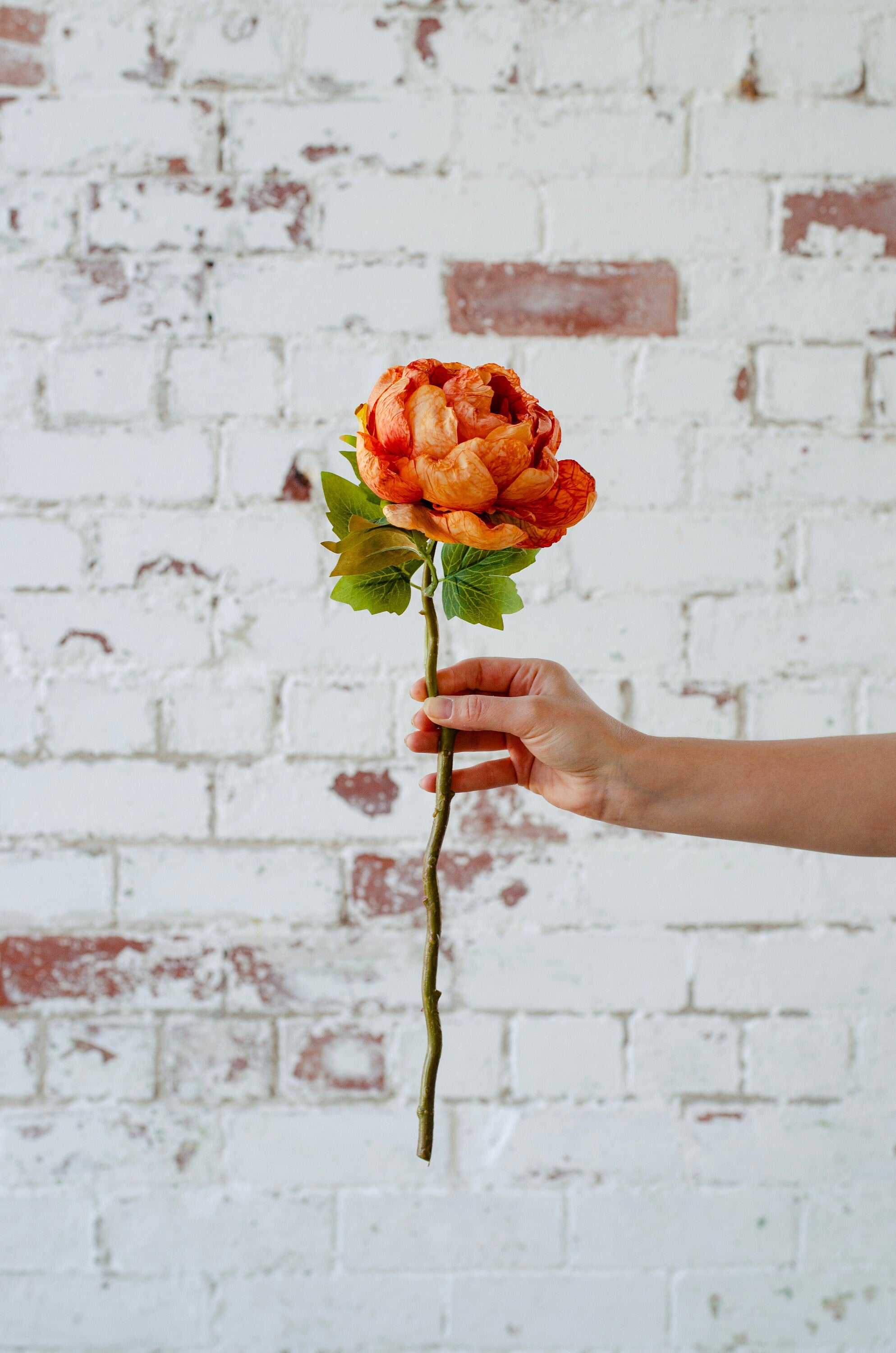 Artificial peony pale peach 54cm, diy wedding bouquets, luxury faux flowers