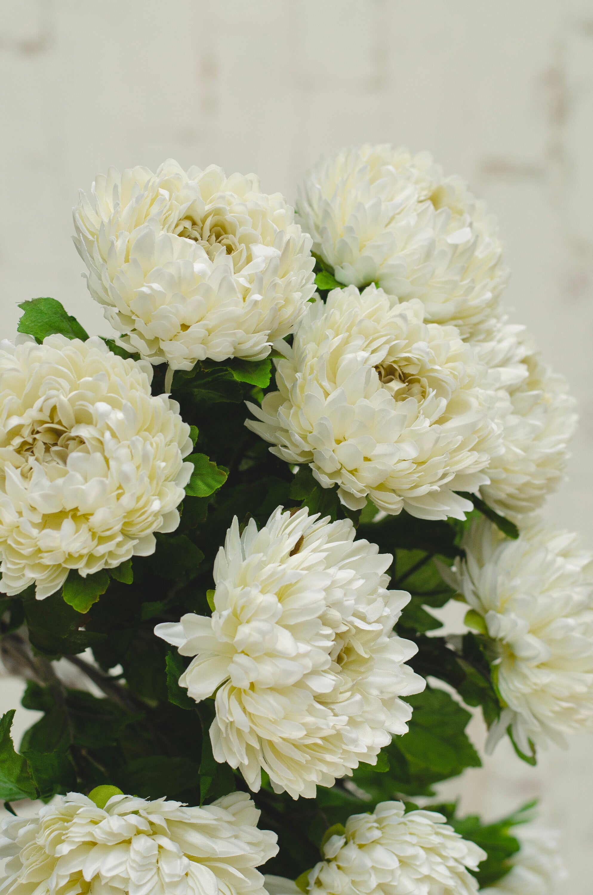 Artificial chrysanthemum mum stem in colour ivory 58cm. Single stem