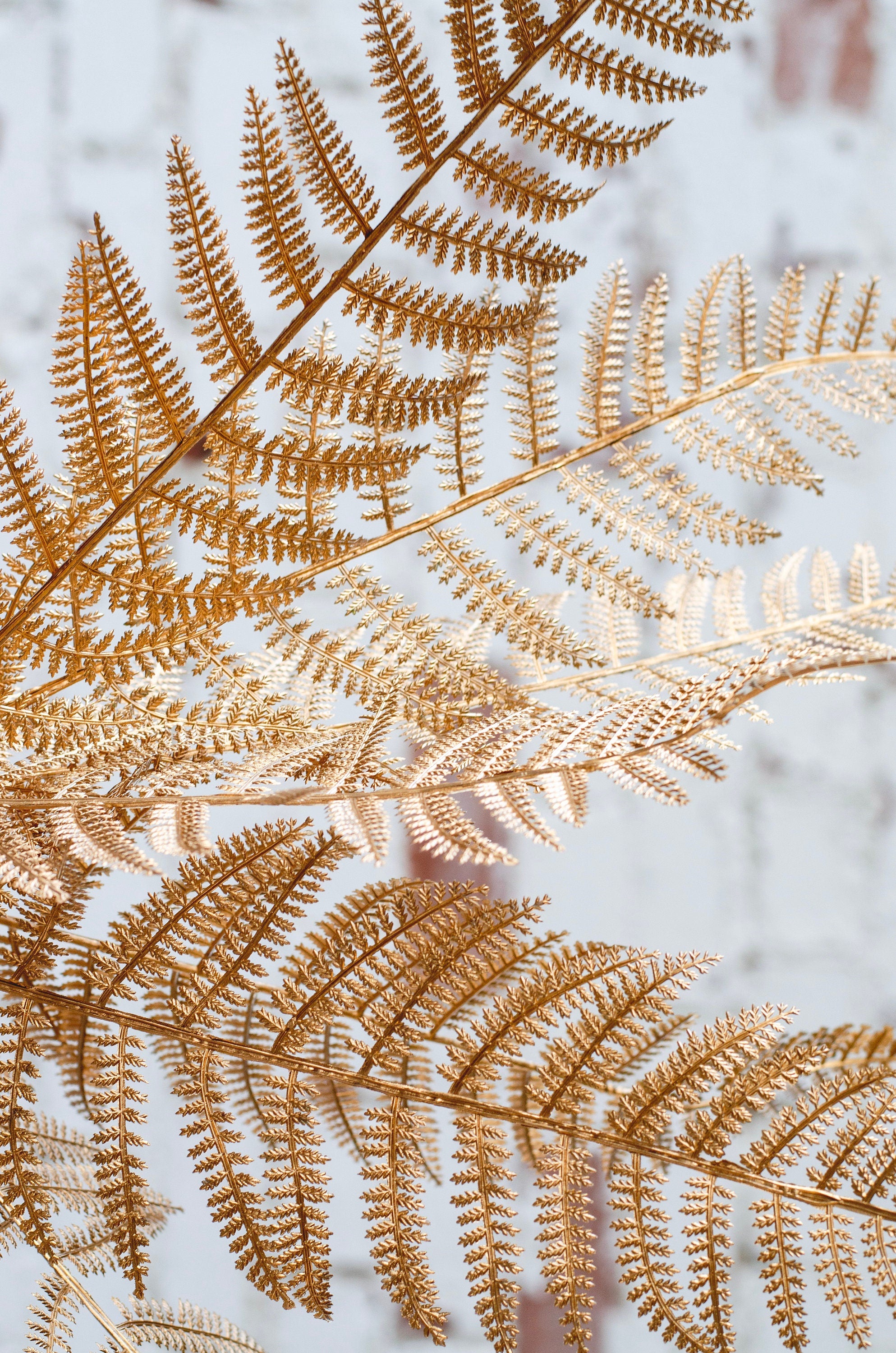 Gold fern stem for weddings and cake decorating, faux gold fern stem