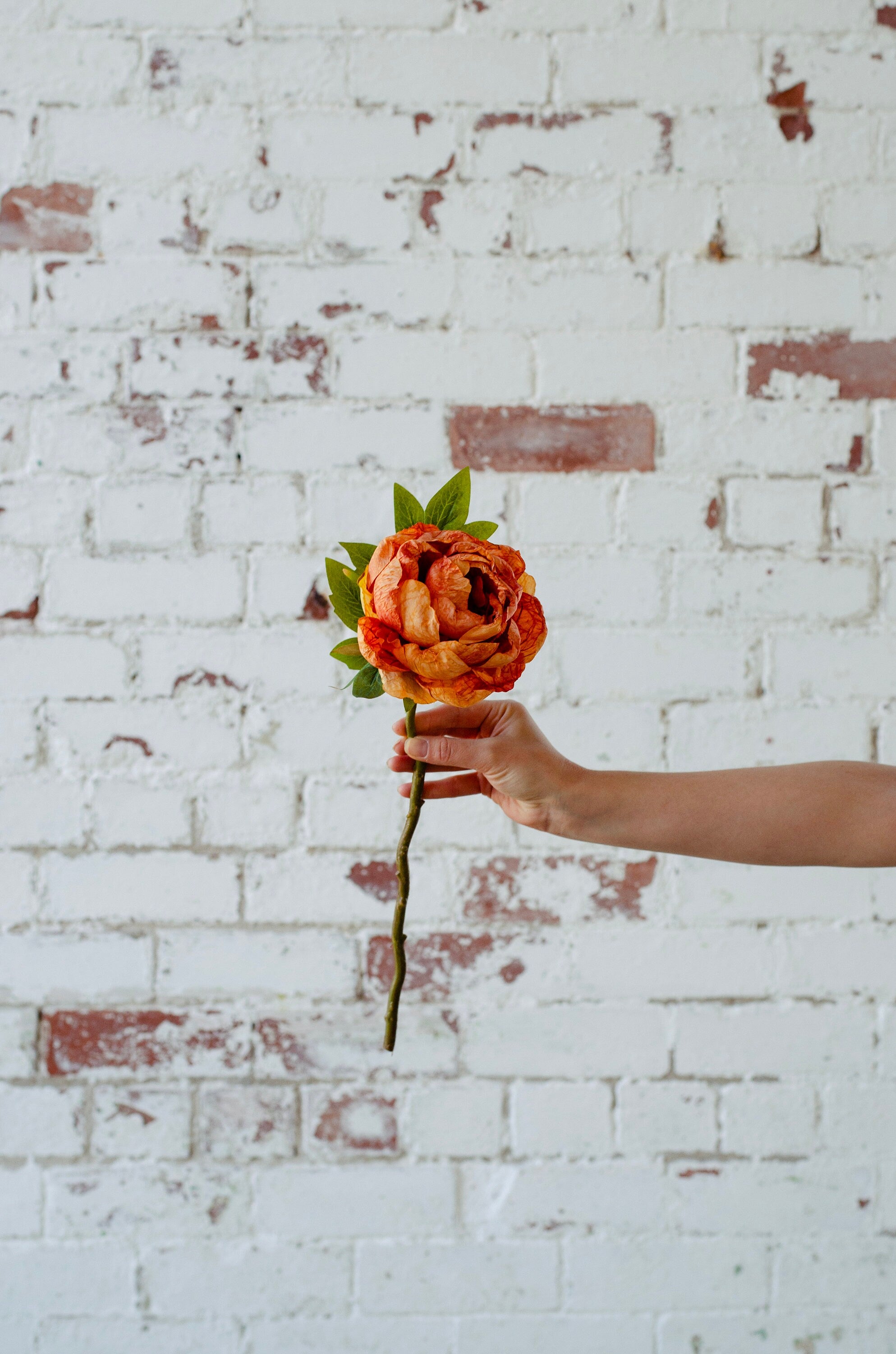 Artificial peony pale peach 54cm, diy wedding bouquets, luxury faux flowers