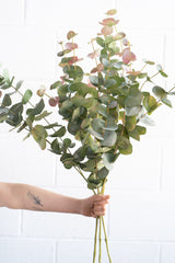 Faux eucalyptus spray real touch