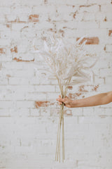 All white eucalyptus spray