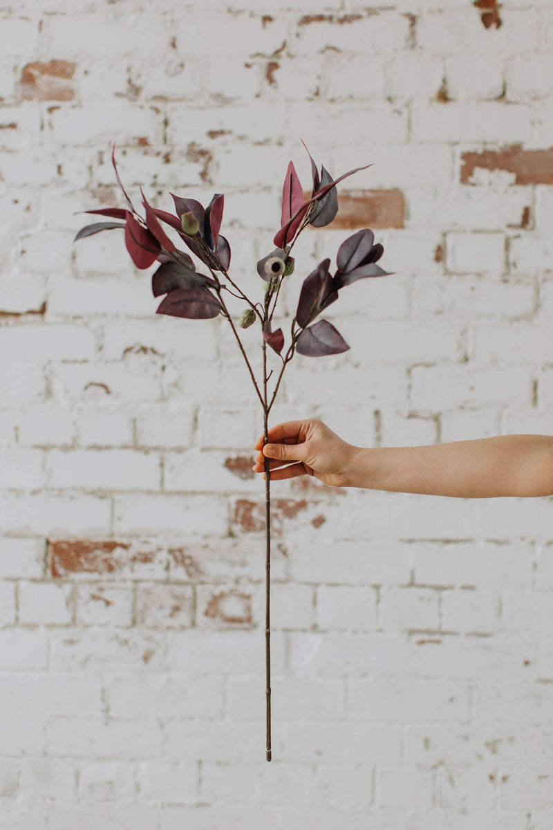 Faux burgundy eucalyptus spray with seeds 80cm tall