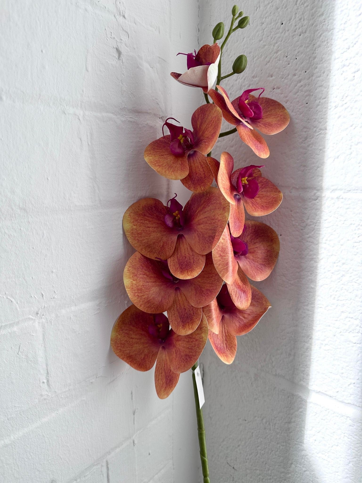 Coral orchid stem, artificial flower stem