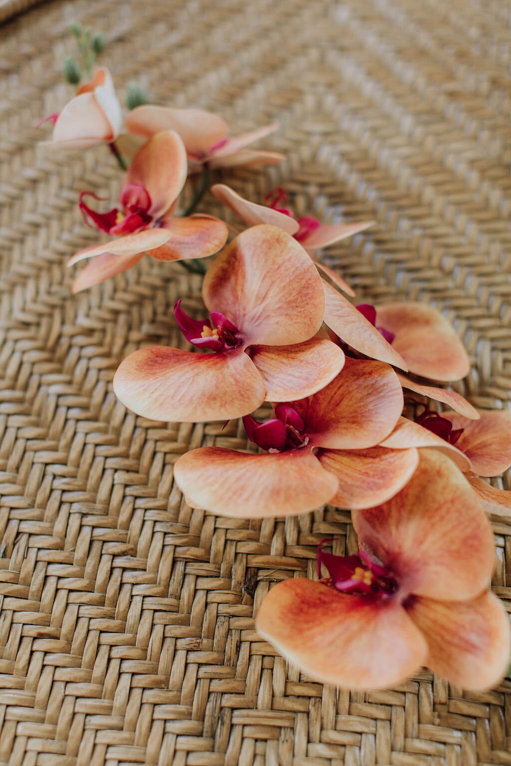 Coral orchid stem, artificial flower stem