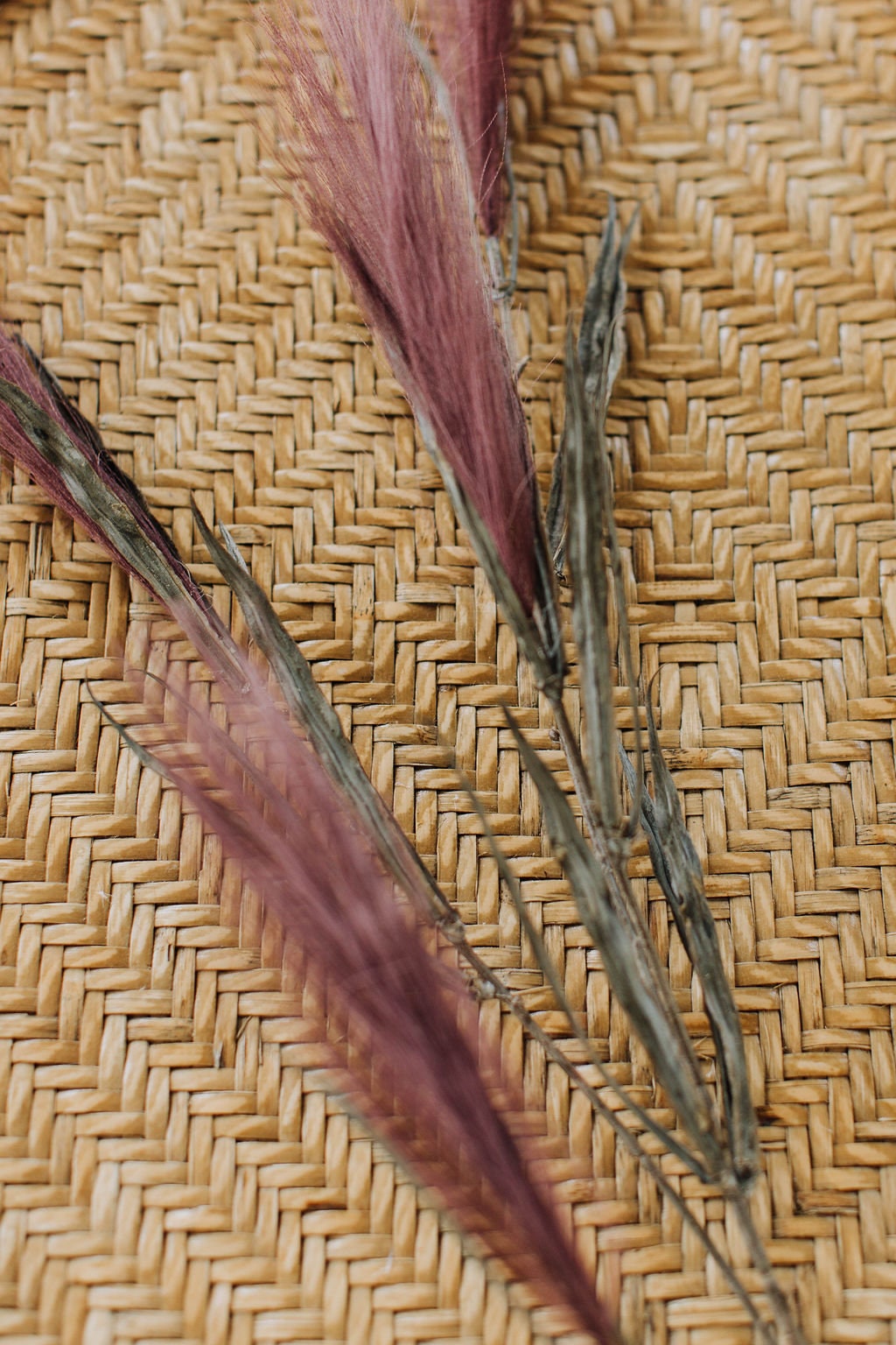 Faux pampas grass spray stem in burgundy