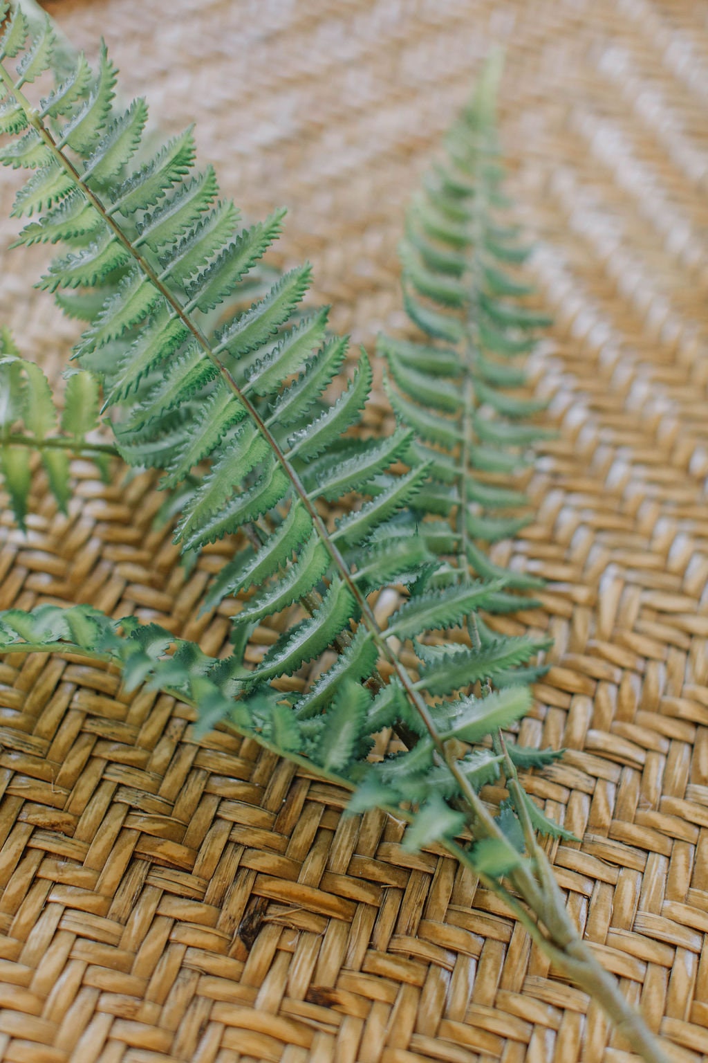 Artificial faux fern spray 66cm for home or diy weddings