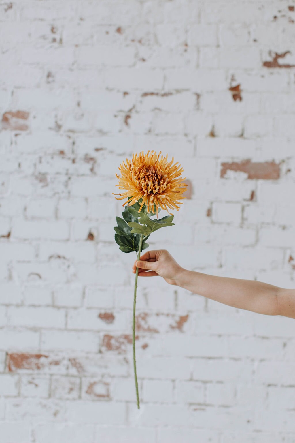 Artificial chrysanthemum mum stem in colour honey 74cm