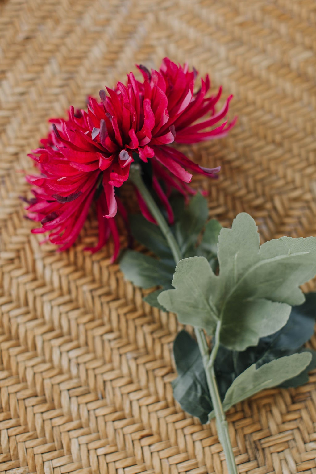 Artificial berry coloured chrysanthemum stem 74cm, diy wedding flowers