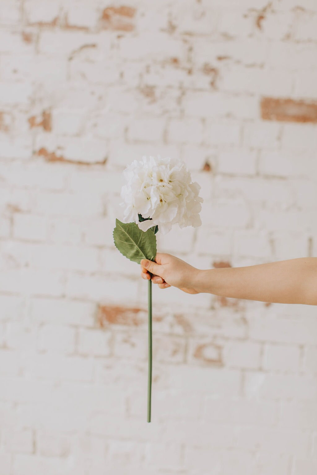 Artificial Ivory hydrangea stem, diy wedding flowers, realistic hydrangea head, faux hydrangea