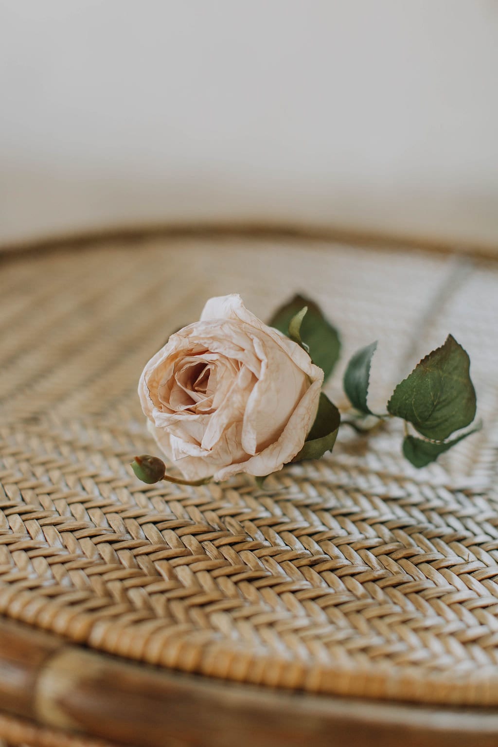 Dry look beige rose, artificial dry look rose in oyster