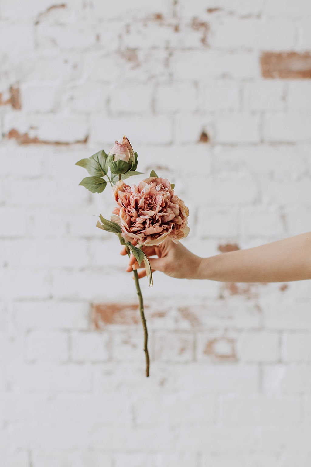Dry look blush open peony spray, single peony stem, blush peony, artificial peony
