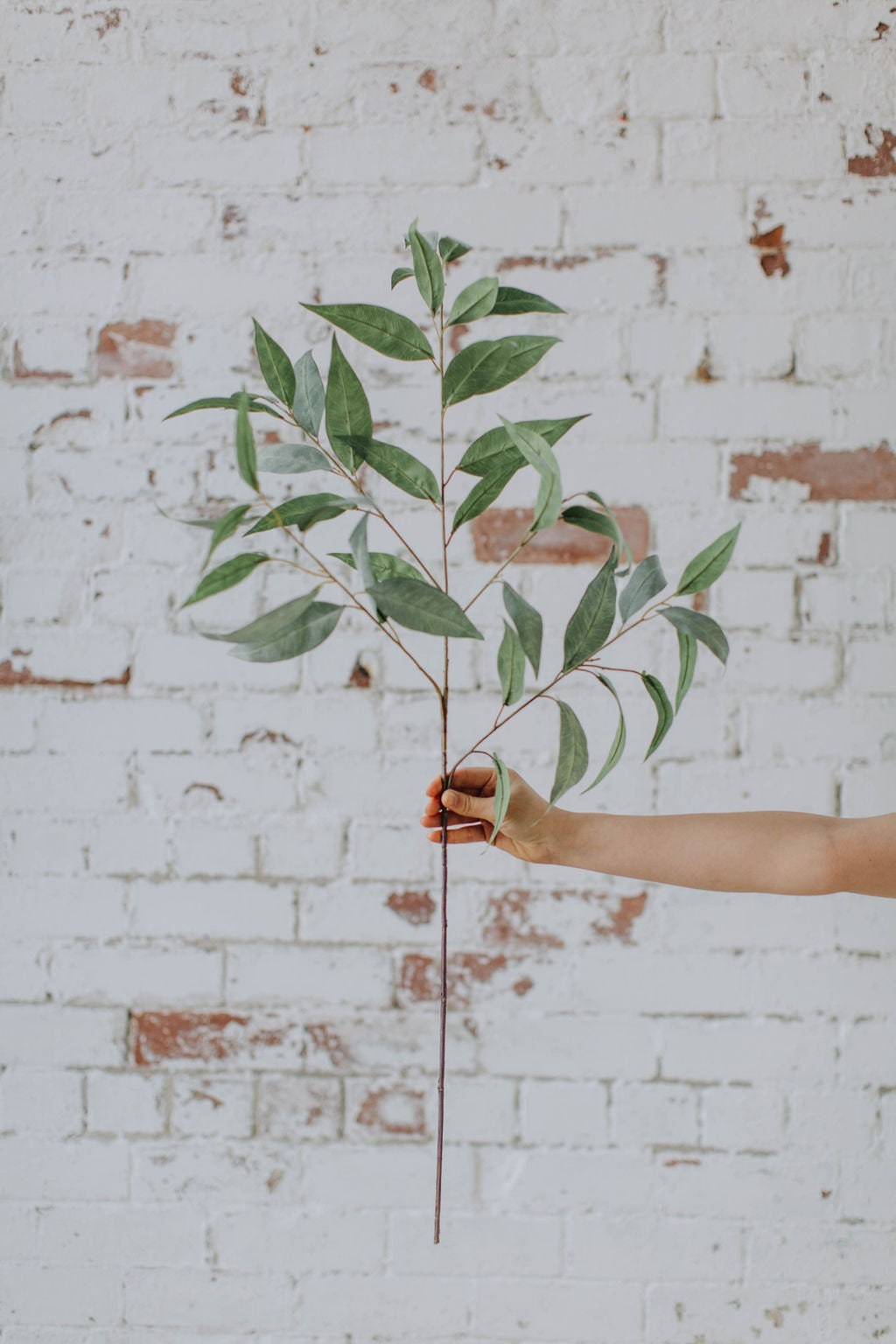 Faux eucalyptus long leaf, artificial eucalyptus stem