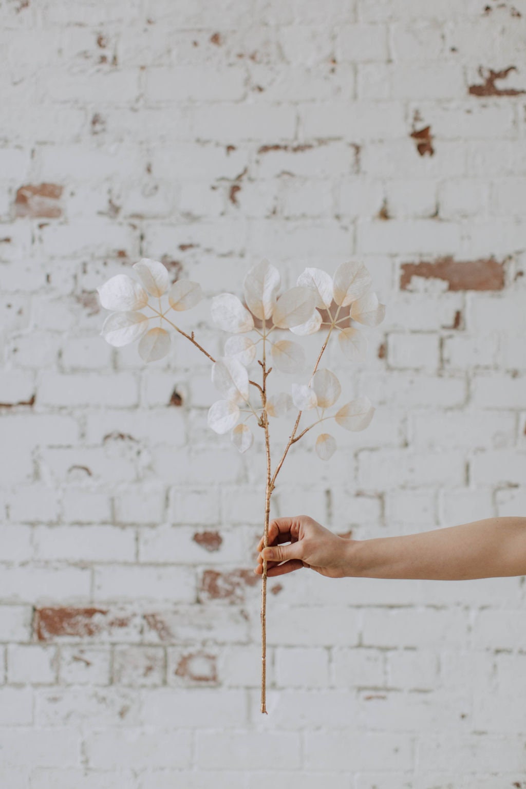 Faux ivory eucalyptus spray with gold stem