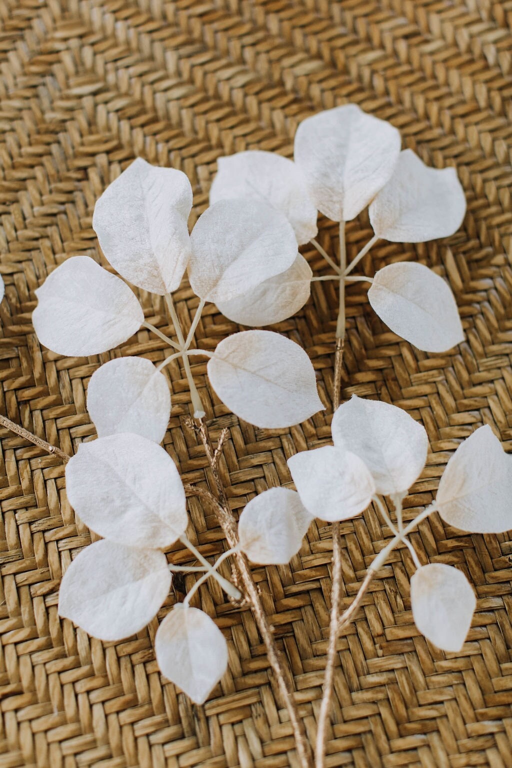 Faux ivory eucalyptus spray with gold stem