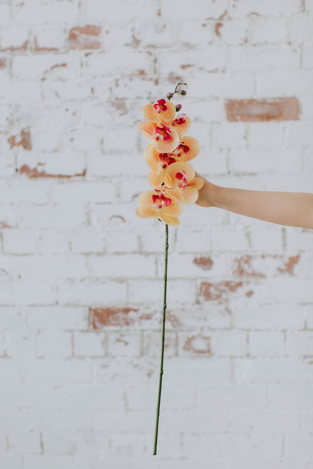 Peach orchid stem, artificial tropical flower stem