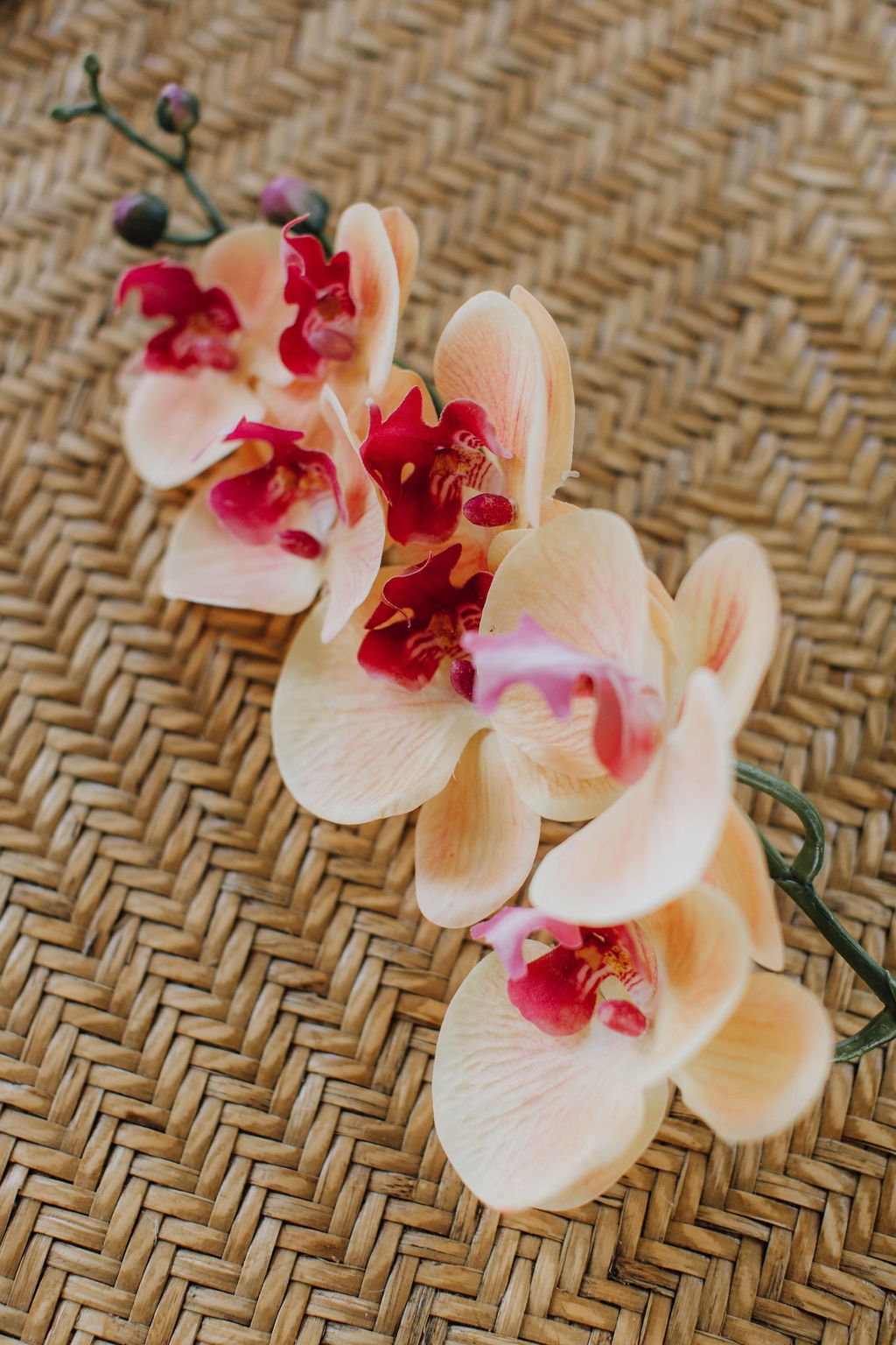 Peach orchid stem, artificial tropical flower stem