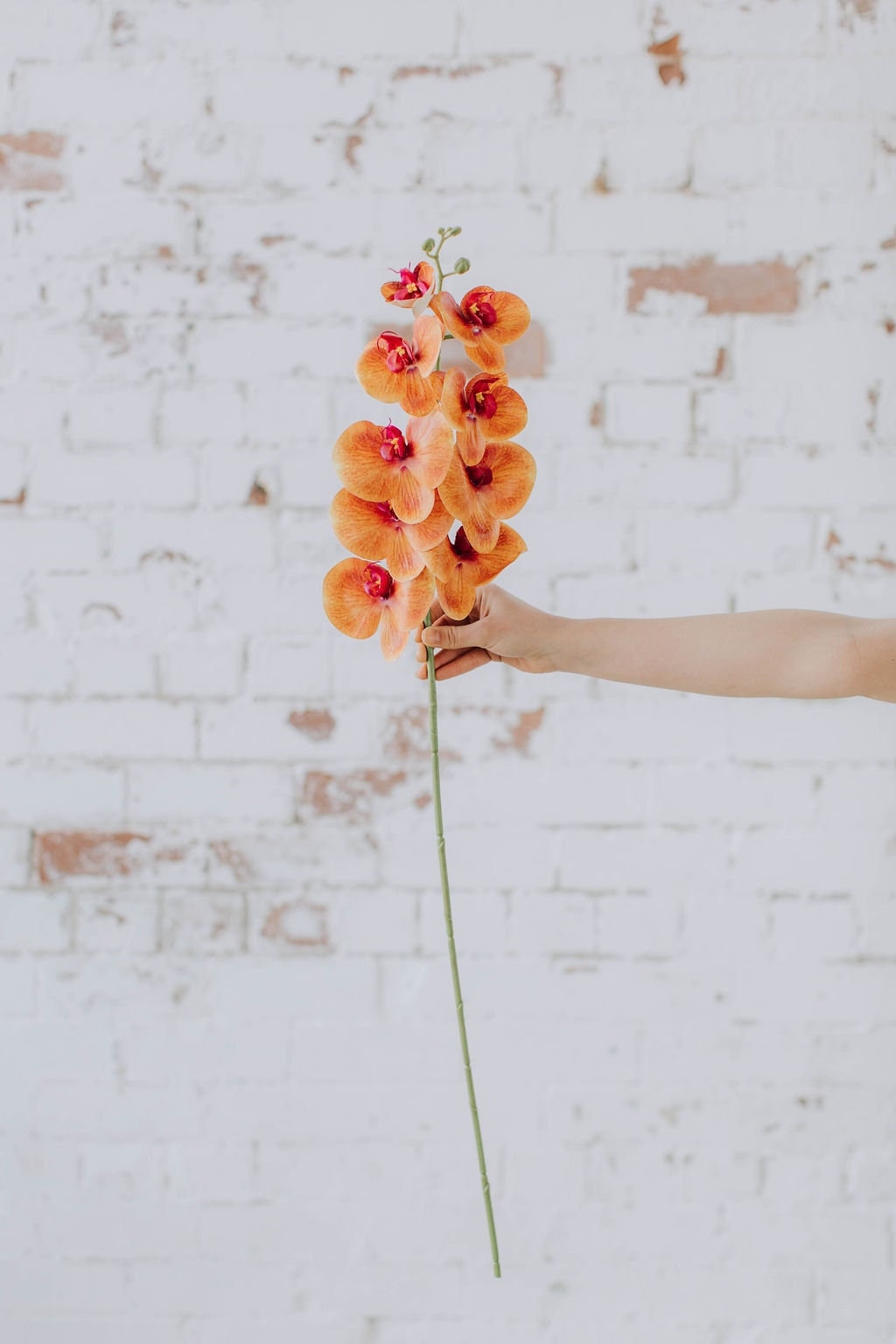 Coral orchid stem, artificial flower stem