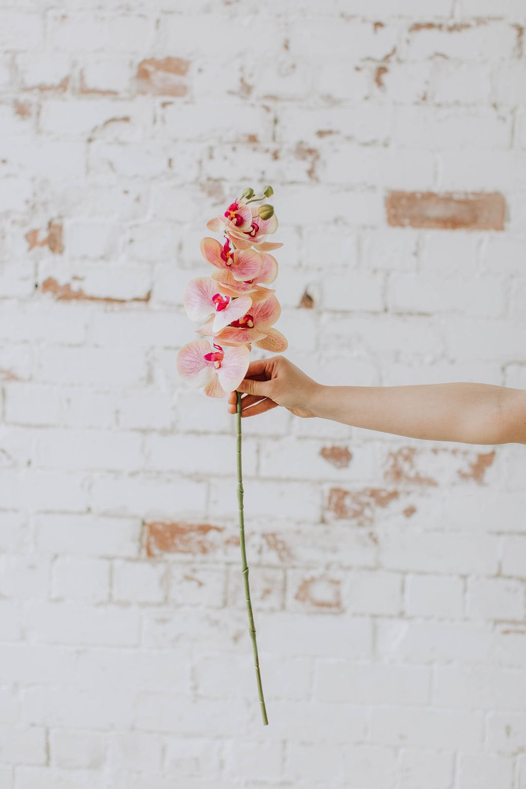 Pale pink faux orchid stem