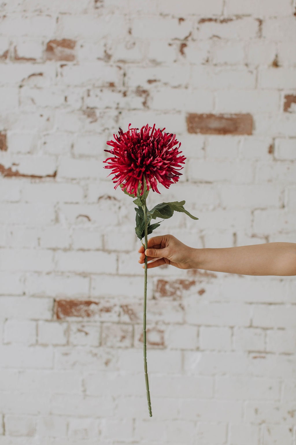 Artificial berry coloured chrysanthemum stem 74cm, diy wedding flowers