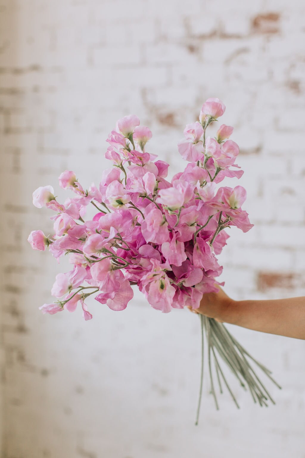 Artificial sweet pea stem spray in pink, single stem