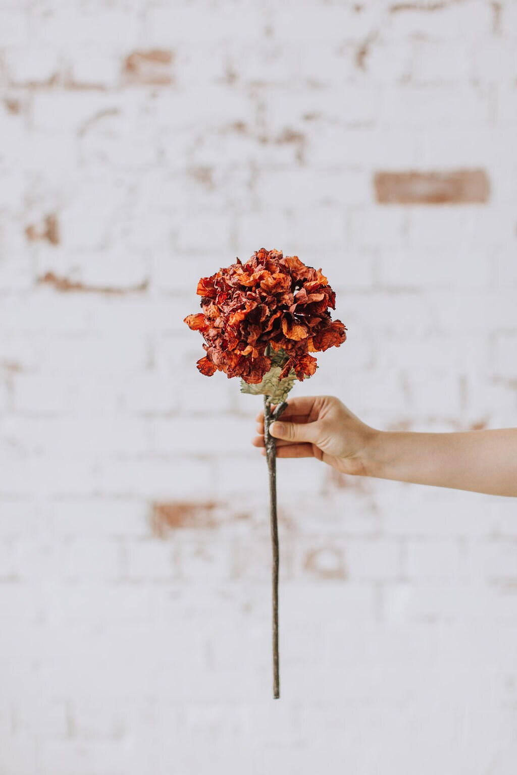 Burnt Orange artificial hydrangea - Realistic Dried-Look, 52cm Single Stem for Home Decor or DIY Crafts