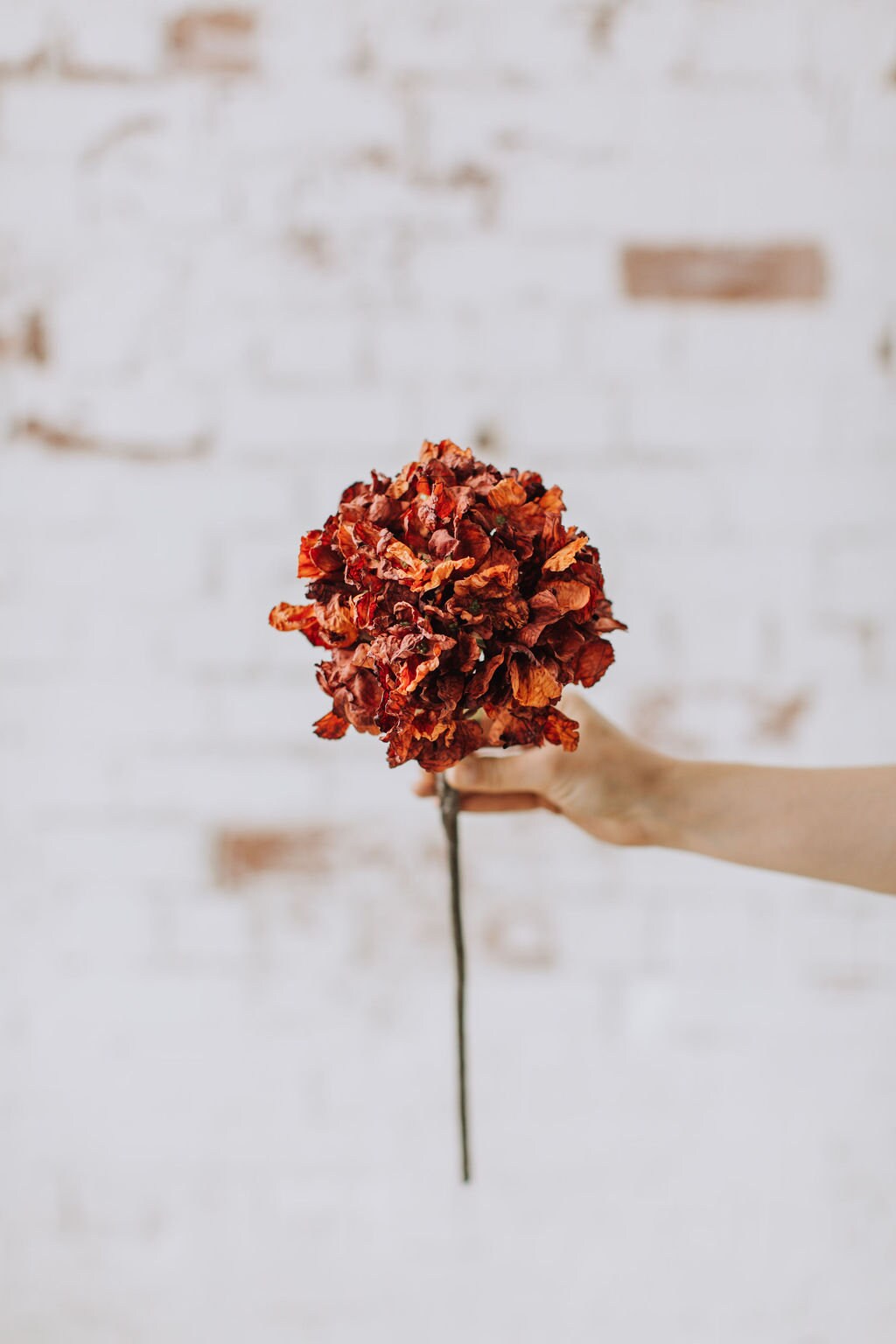 Burnt Orange artificial hydrangea - Realistic Dried-Look, 52cm Single Stem for Home Decor or DIY Crafts