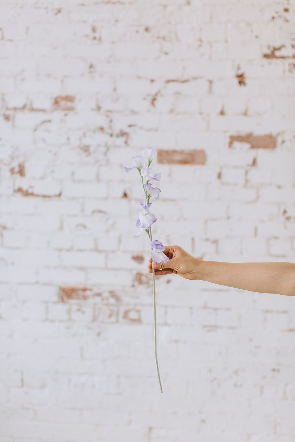 Artificial sweet pea stem spray in purple, single stem