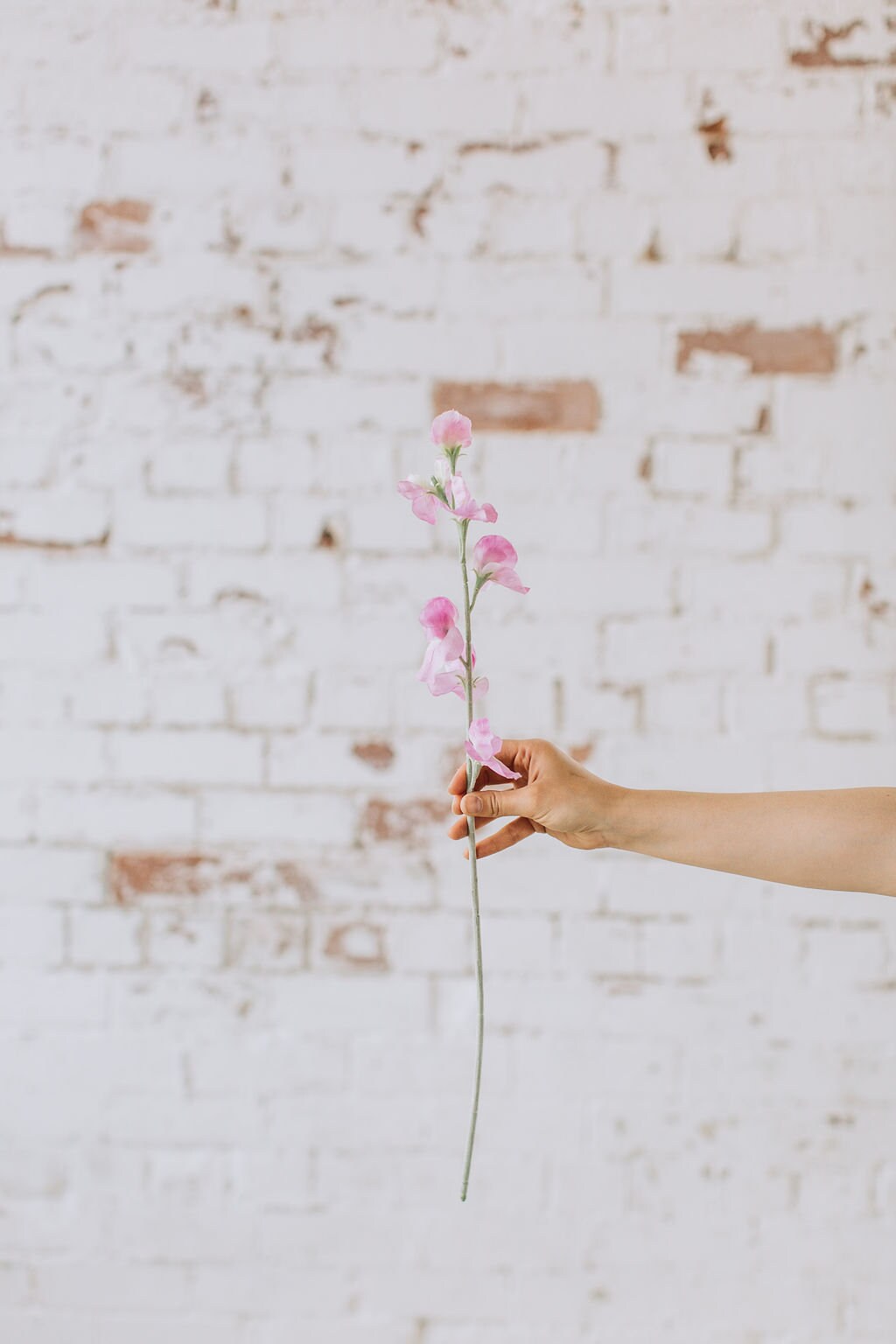 Artificial sweet pea stem spray in pink, single stem