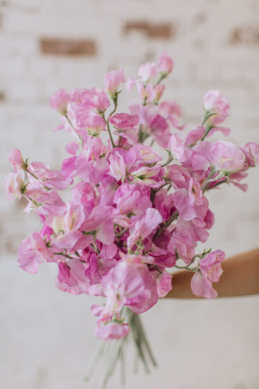 Artificial sweet pea stem spray in pink, single stem