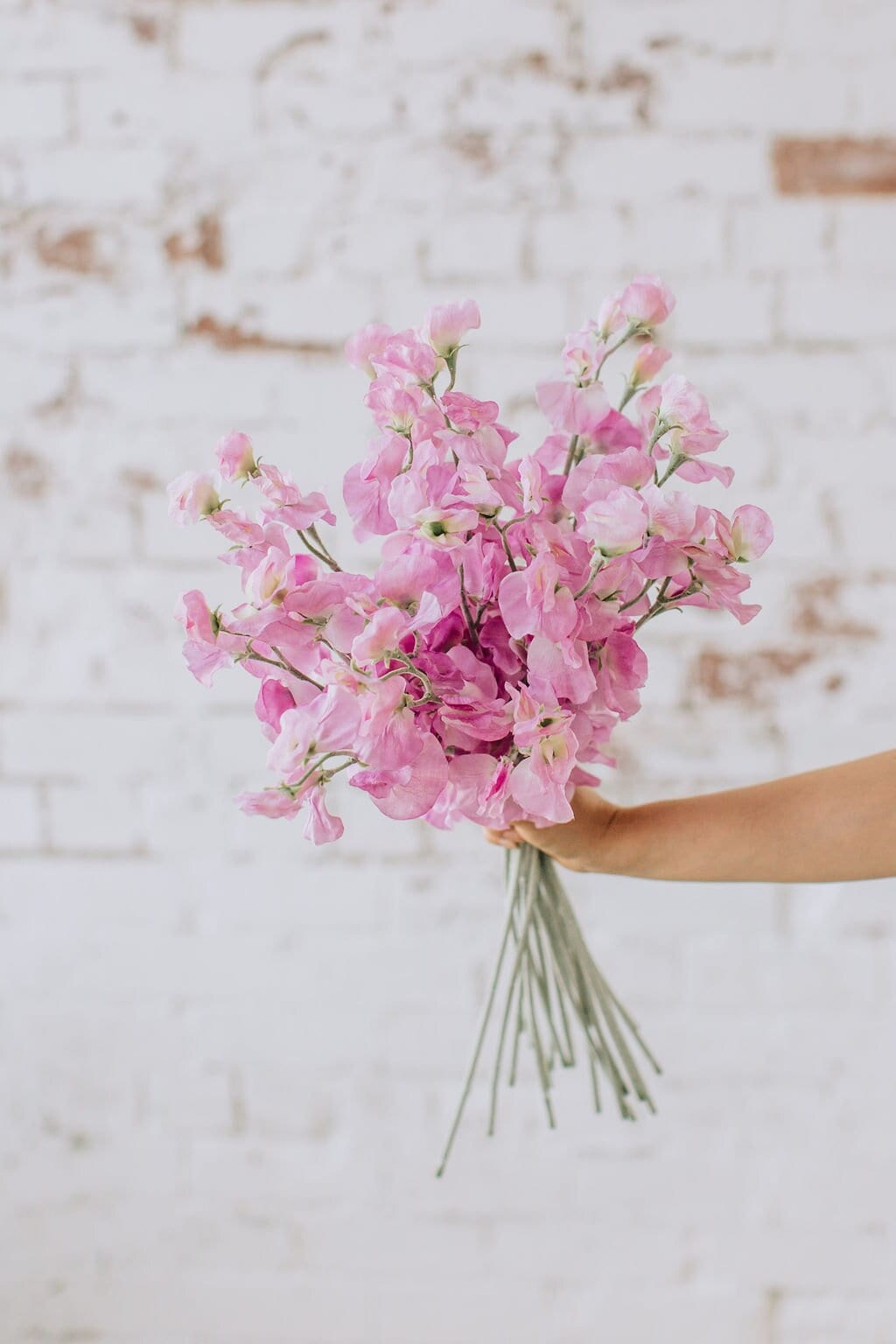 Artificial sweet pea stem spray in pink, single stem