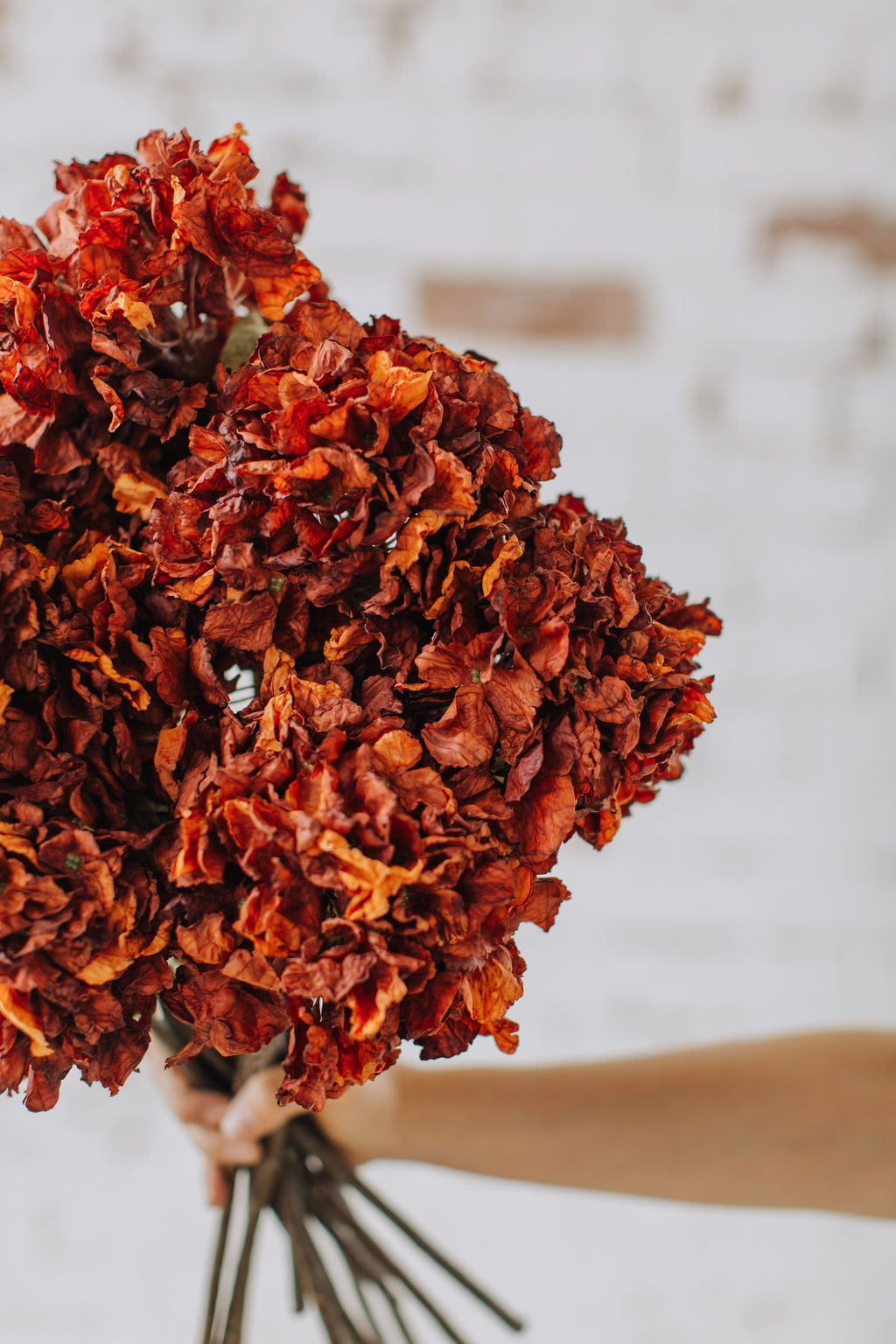 Burnt Orange artificial hydrangea - Realistic Dried-Look, 52cm Single Stem for Home Decor or DIY Crafts