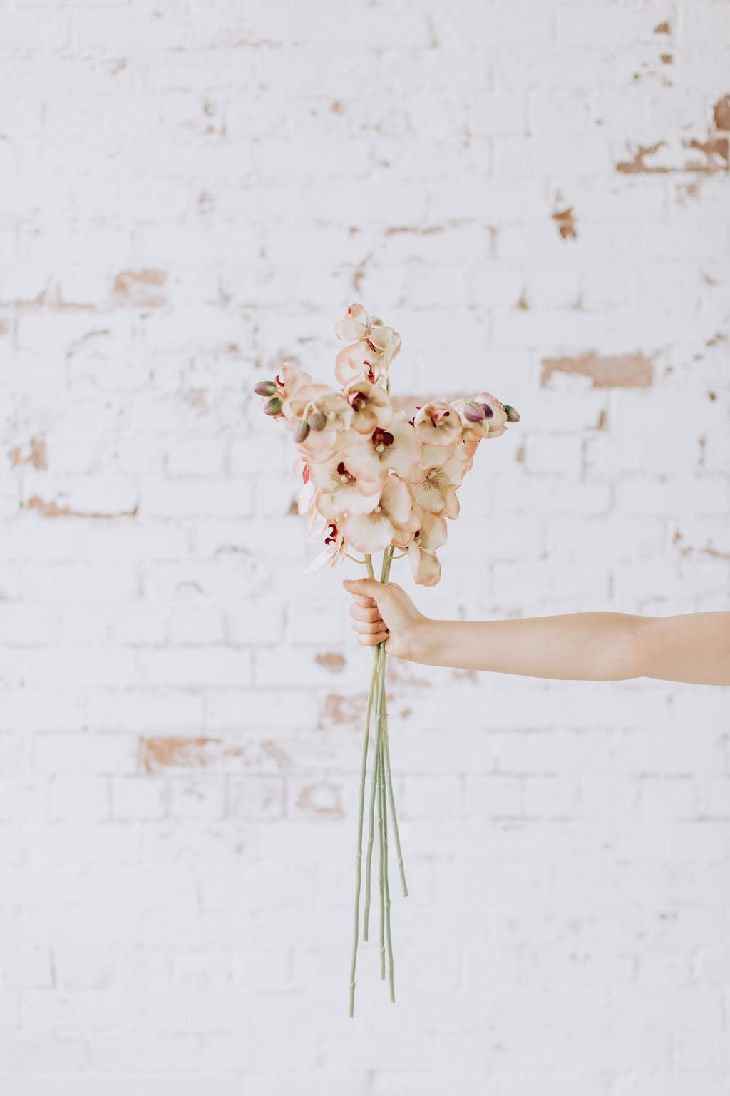 Modern look faux orchid stem in biege and pink.  55cm single orchid stem.