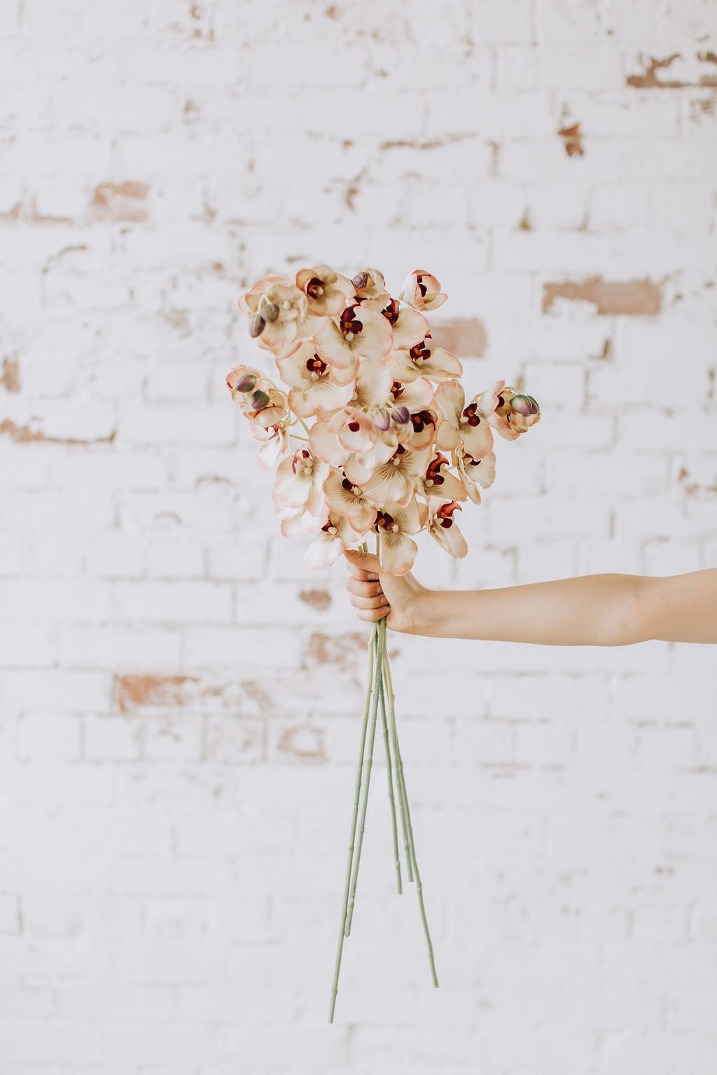 Modern look faux orchid stem in biege and pink.  55cm single orchid stem.