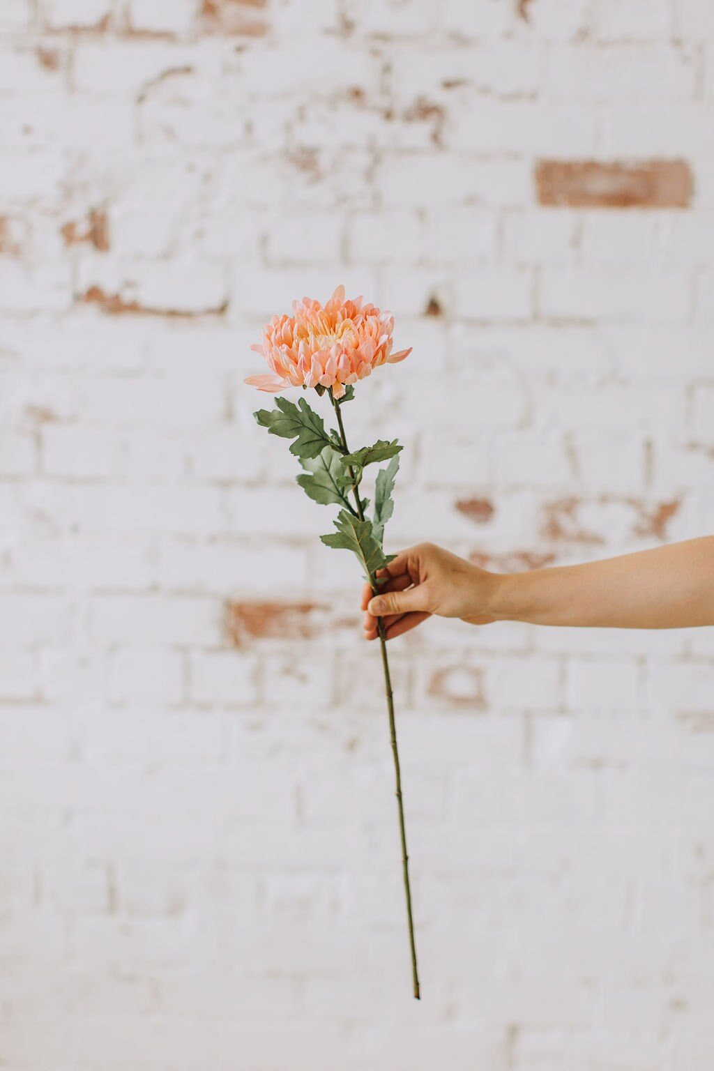 Artificial Dahlia Stem - Bright Coral with Soft Yellow and Pink Centre | 50cm