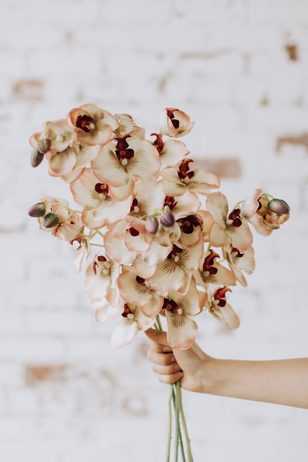 Modern look faux orchid stem in biege and pink.  55cm single orchid stem.