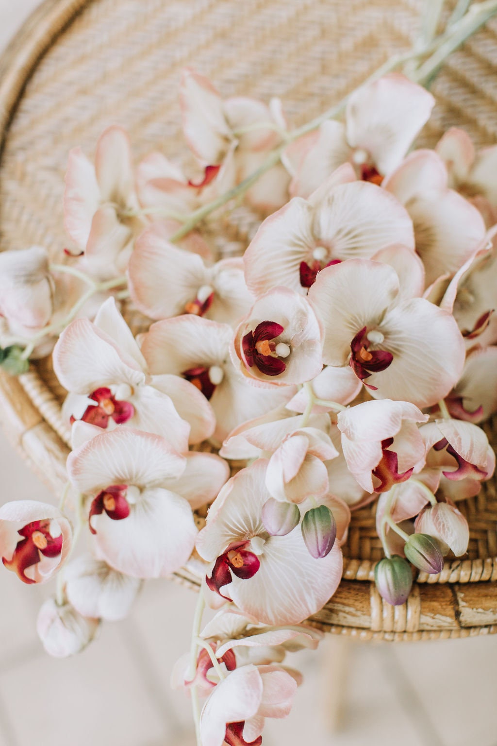 Modern look faux orchid stem in biege and pink.  55cm single orchid stem.