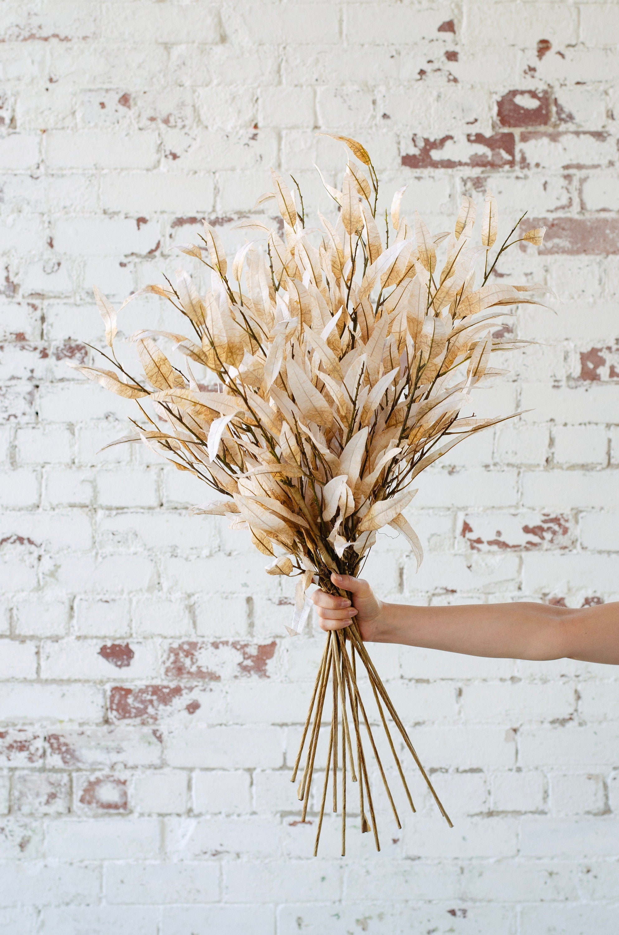 Beige dry look eucalyptus spray single stem 70cm tall