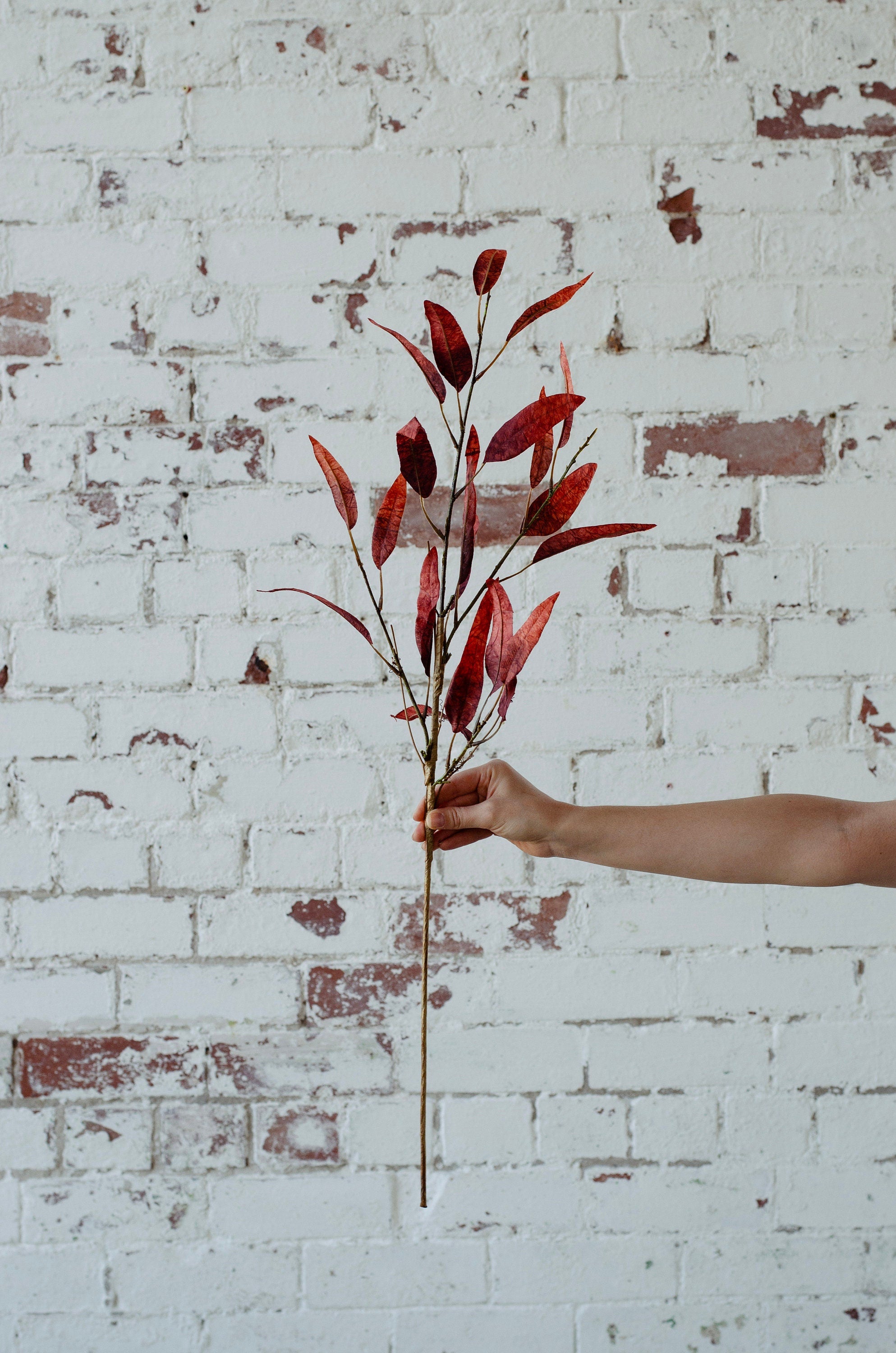 Faux fiery orange red eucalyptus spray single stem 70cm tall