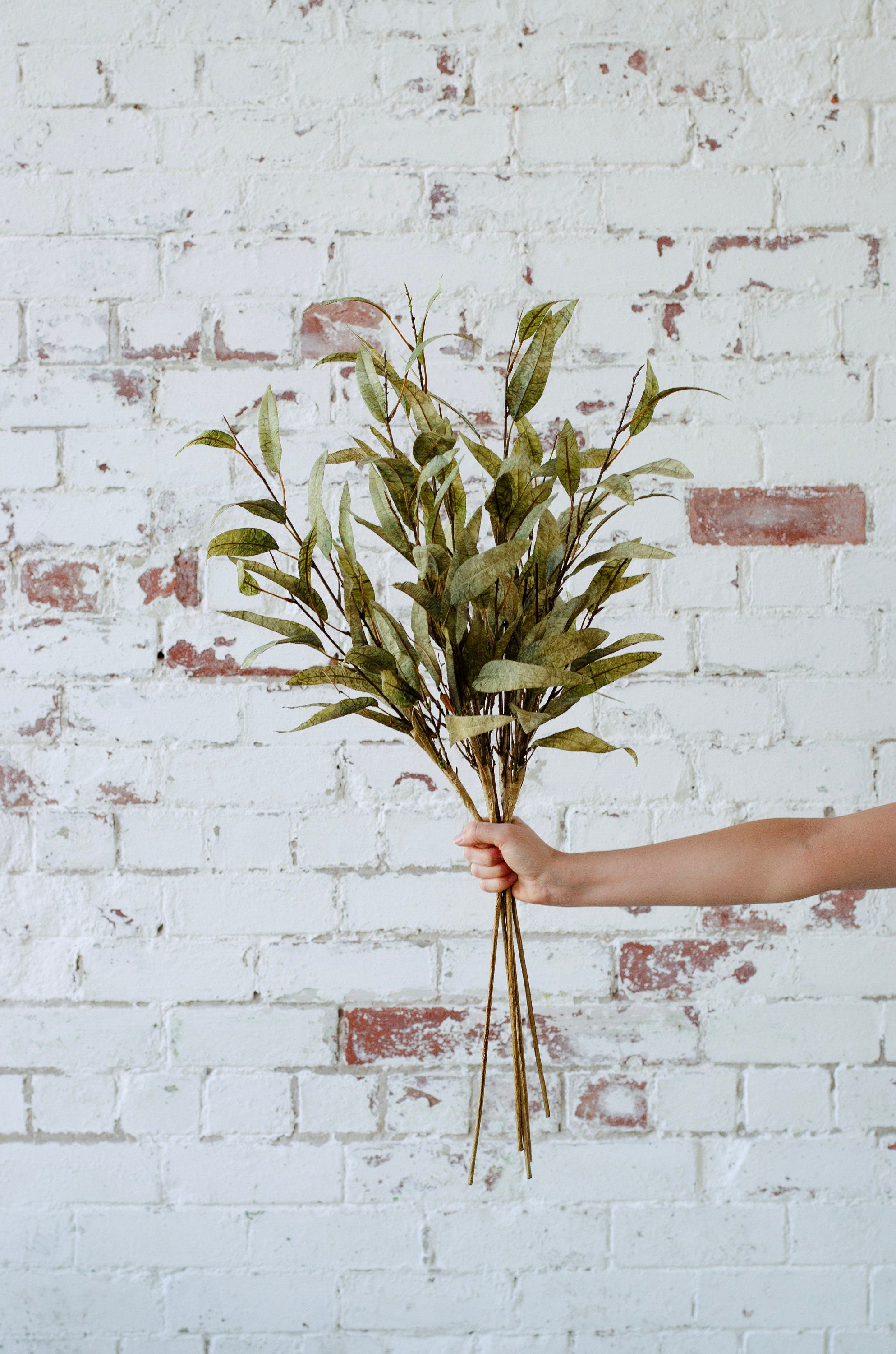 Green dry look eucalyptus spray single stem 70cm tall