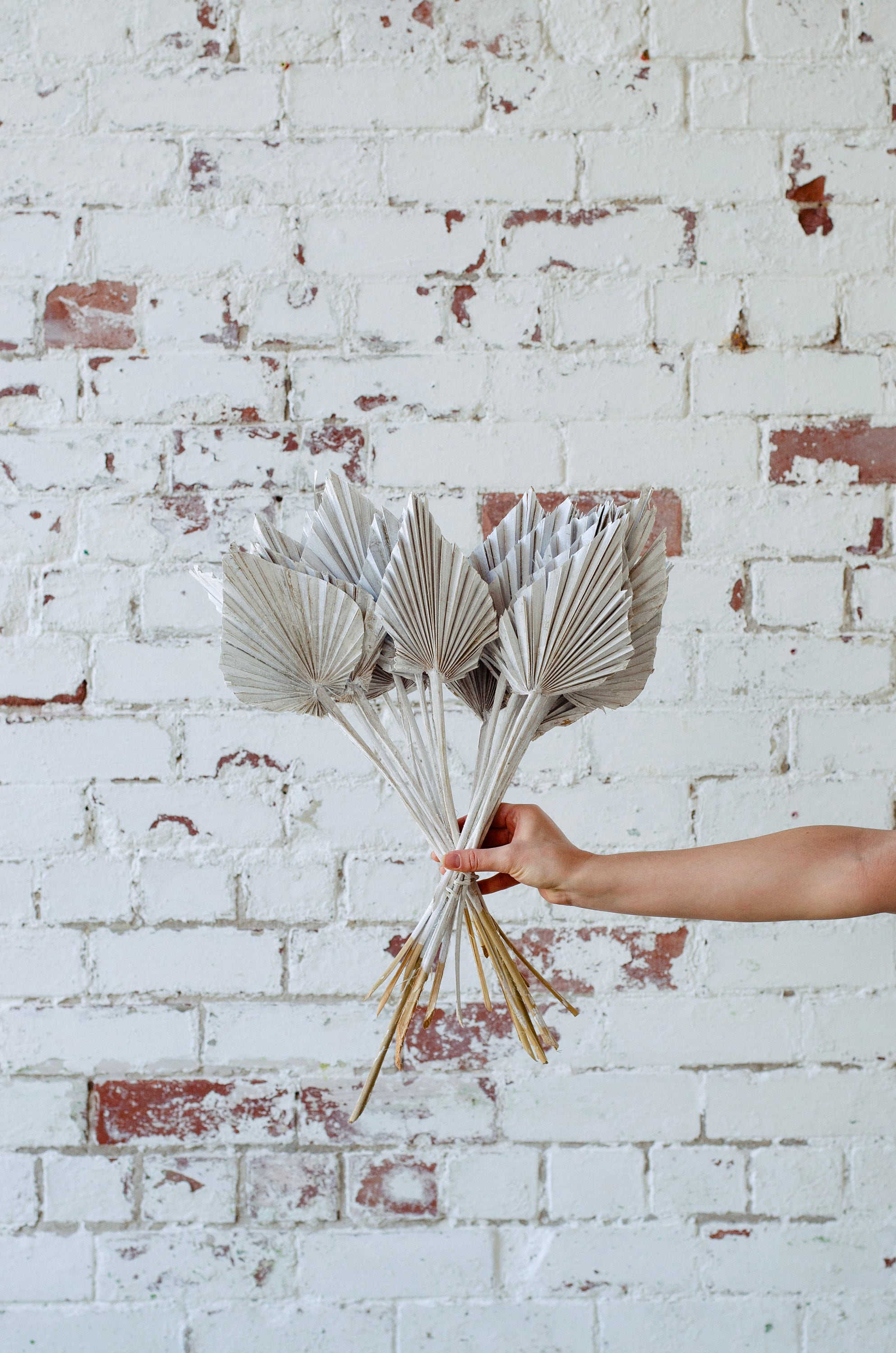 Dry palm spear bundle, perfect for cake decorating or DIY weddings