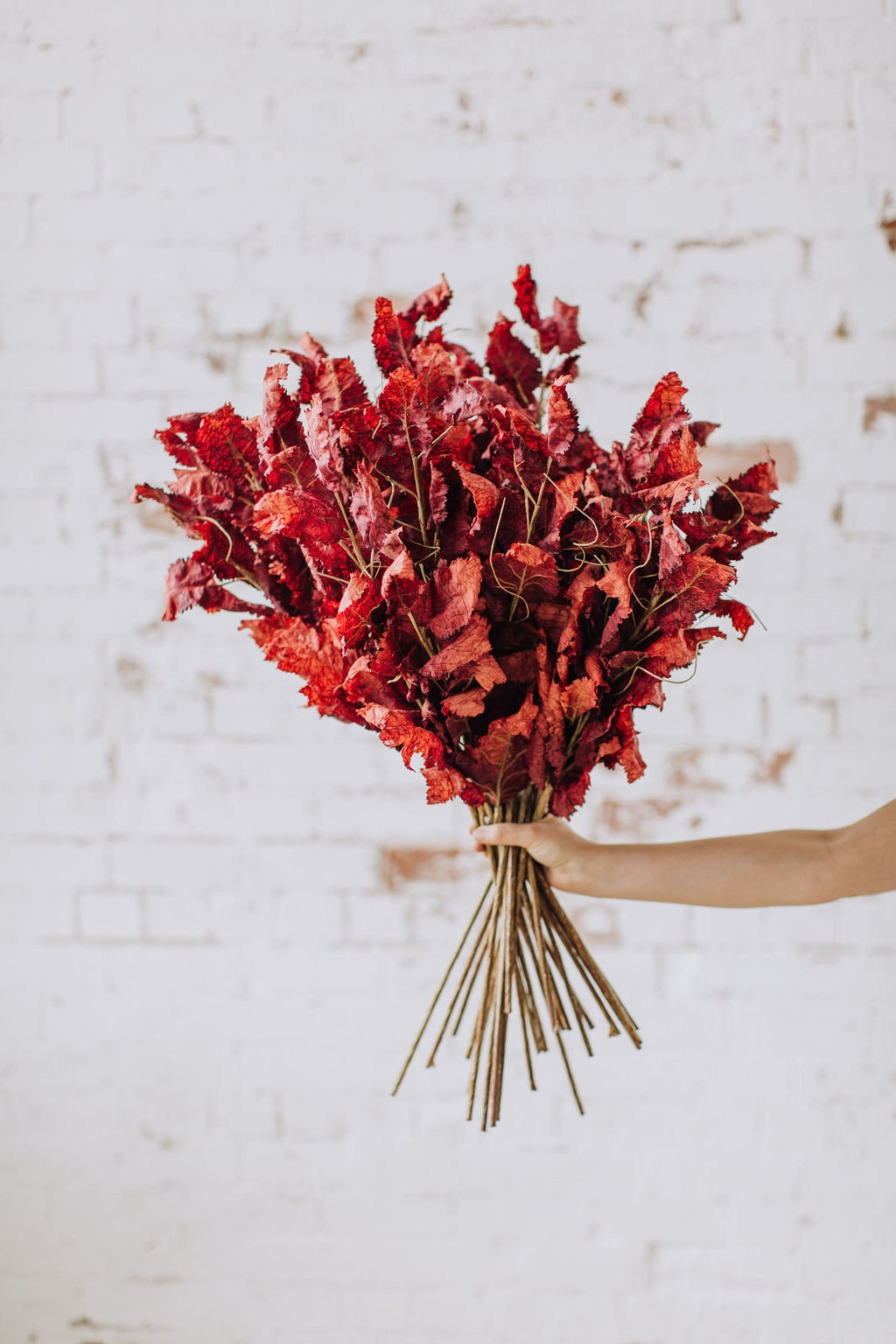 Faux dry look fiery burnt red eucalyptus single stem 70cm tall