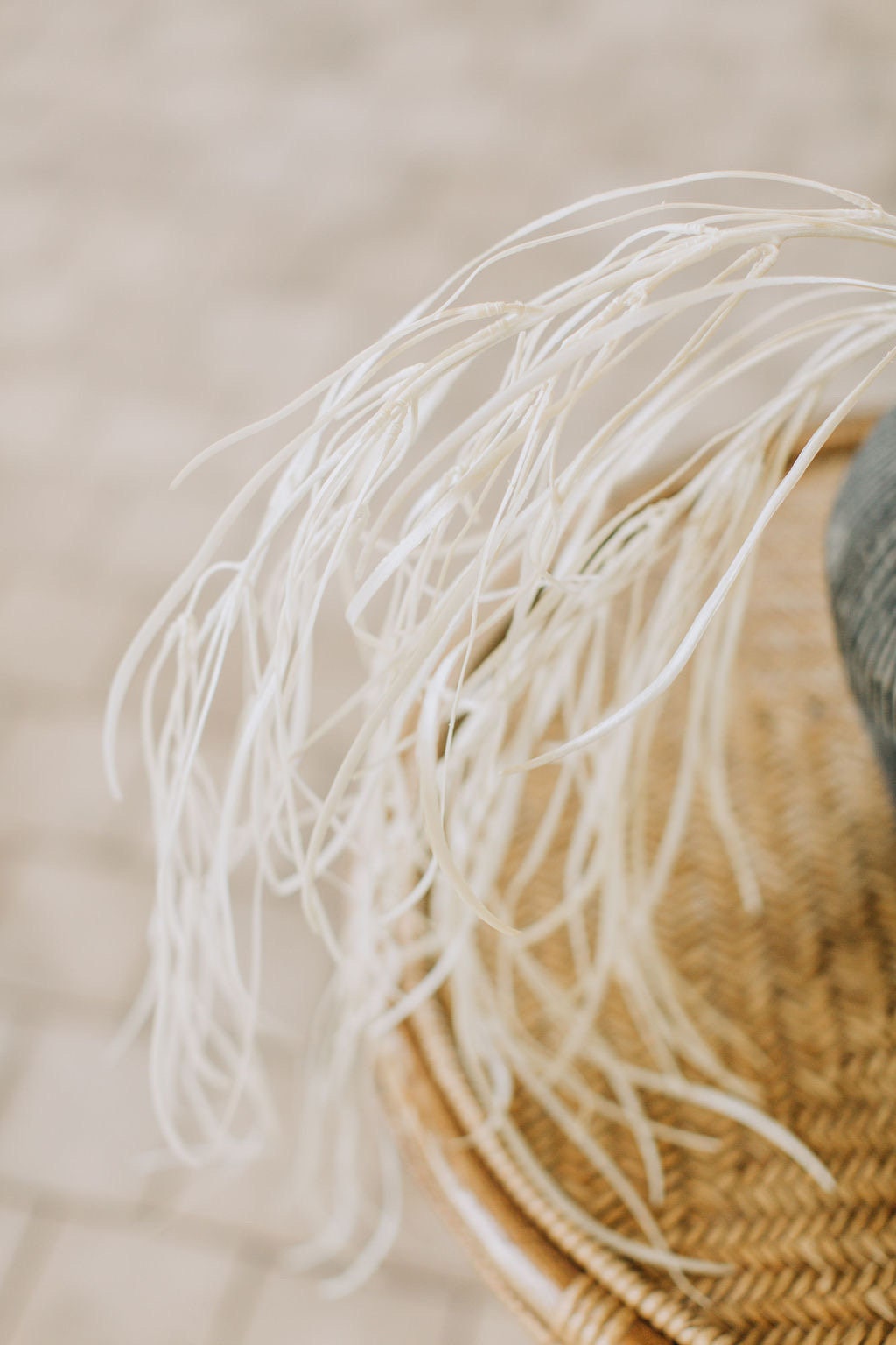 Beige pearl grass spray single stem 105cm tall, perfect for DIY weddings or home flowers
