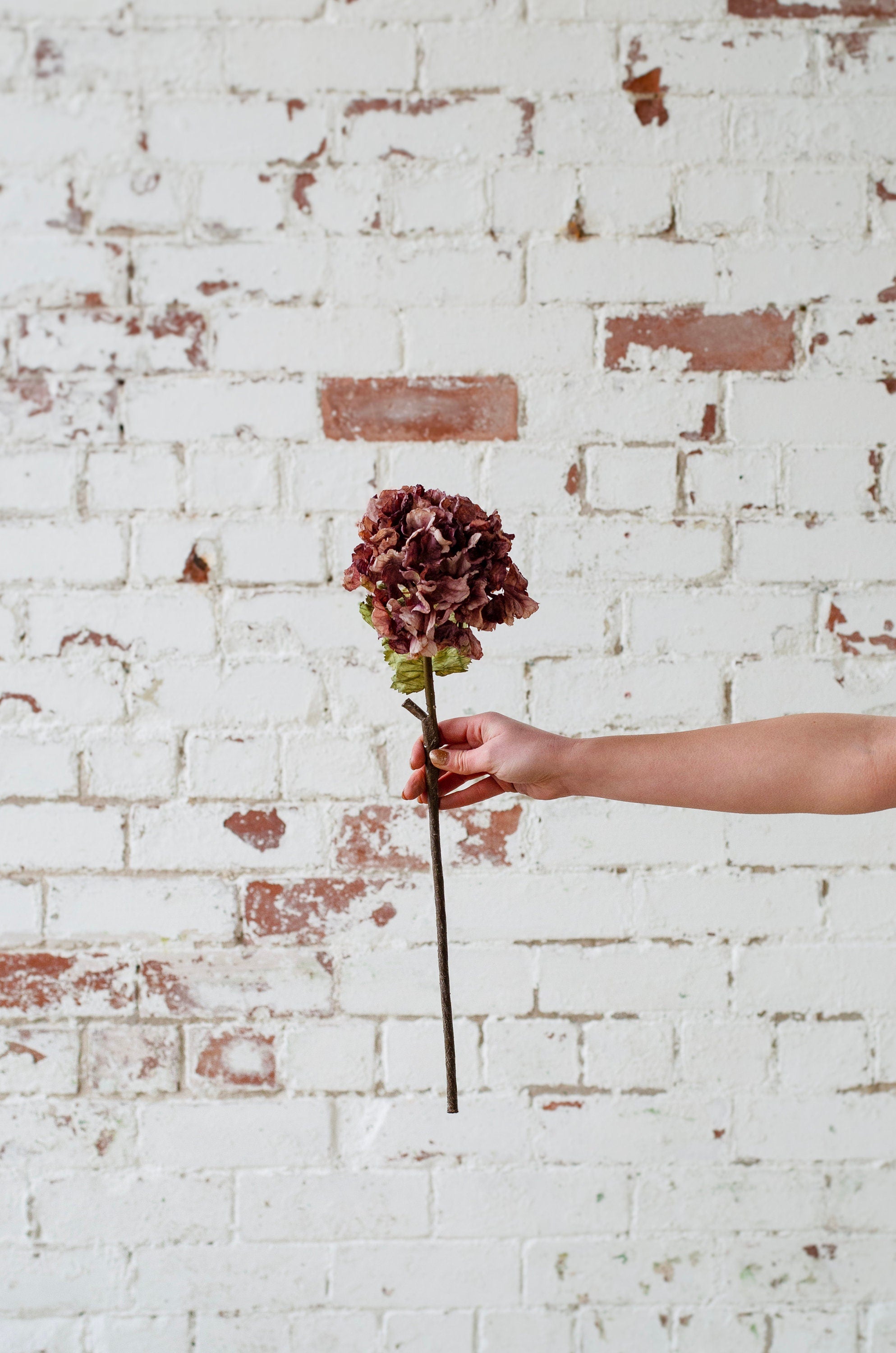 Purple Artificial Hydrangea - Realistic Dried-Look, 42cm Tall Single Stem for Home Decor or DIY Crafts