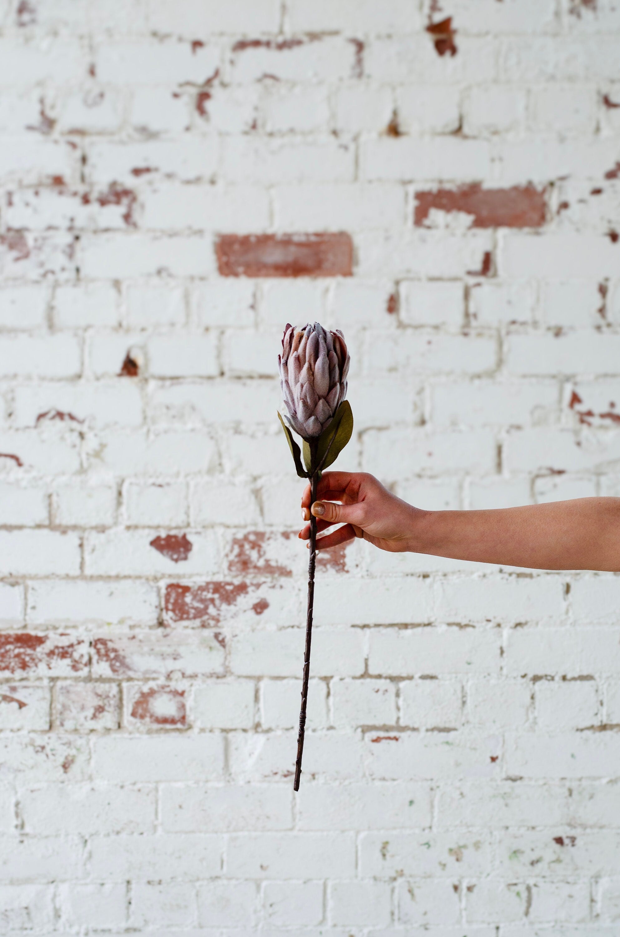 Faux  Protea stem for diy weddings or decor brown