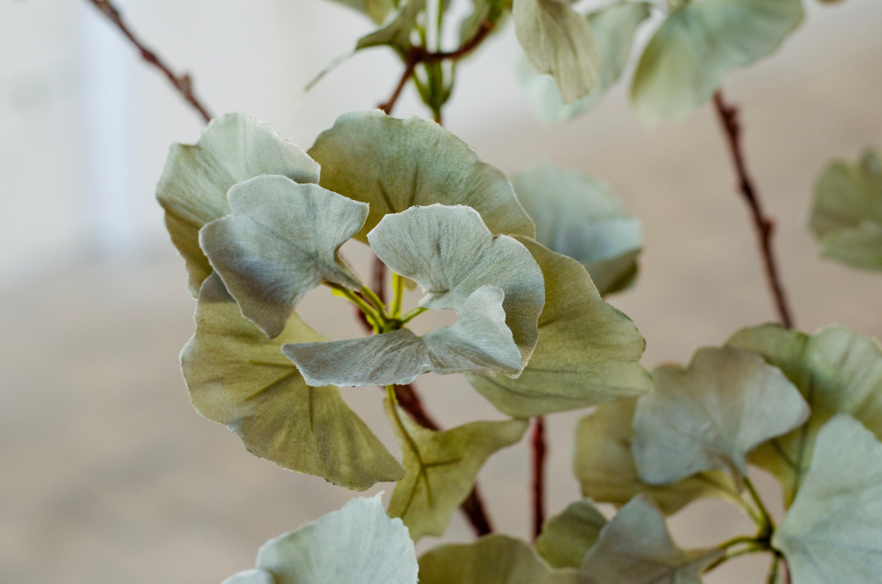 Faux ginkgo spray stem, sage green artificial ginkgo single stem