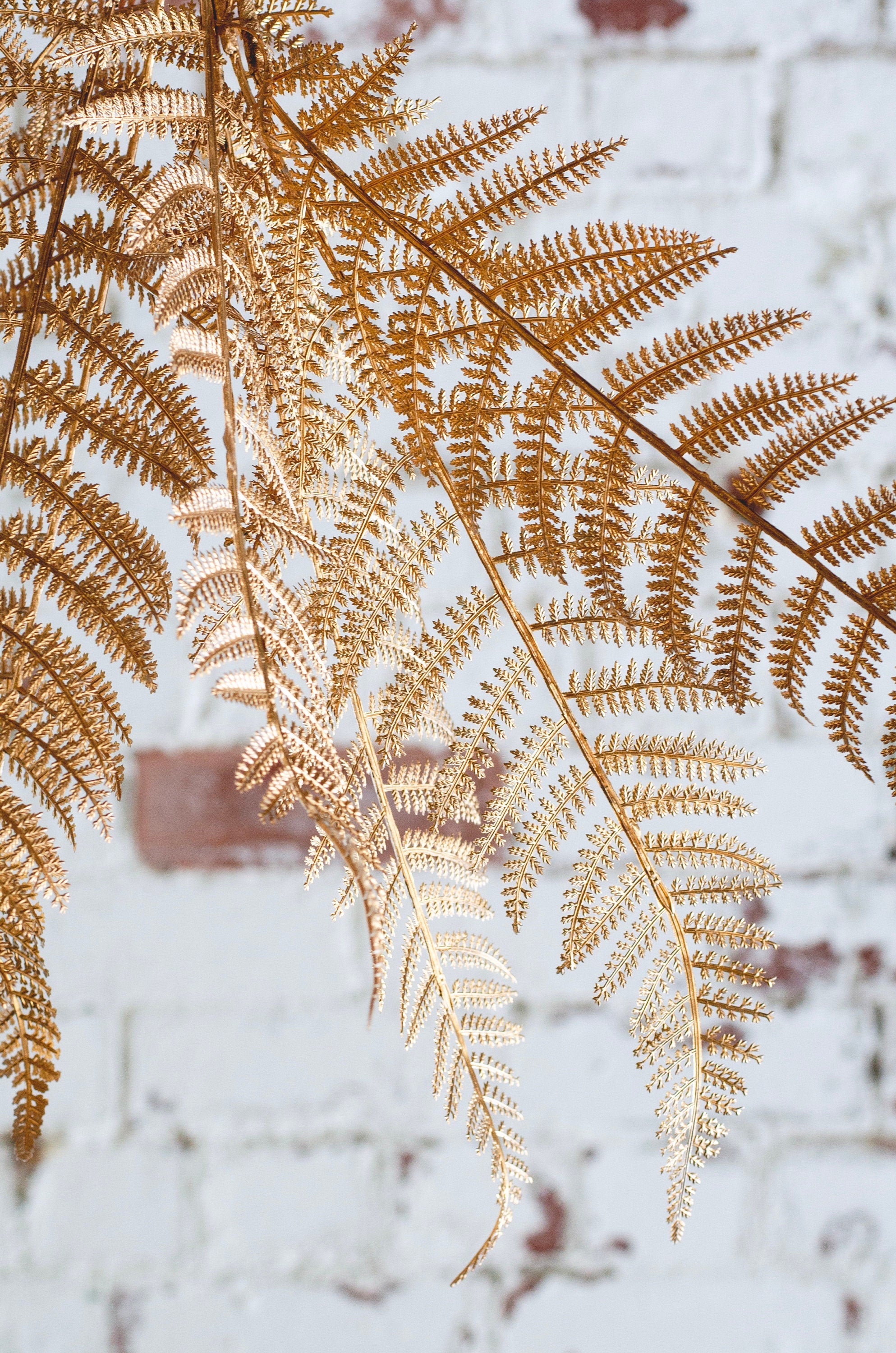 Gold fern stem for weddings and cake decorating, faux gold fern stem