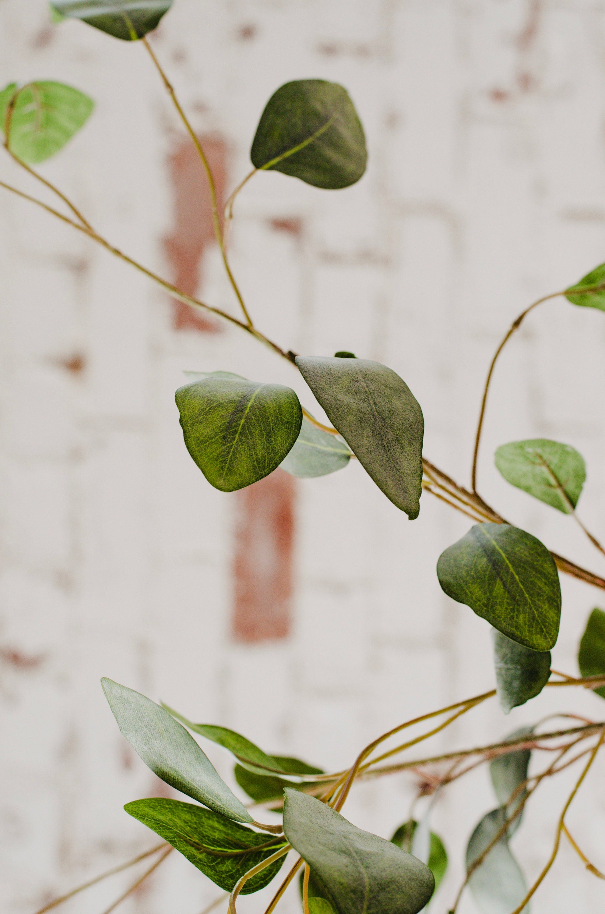 Faux eucalyptus populus, artificial eucalyptus single stem