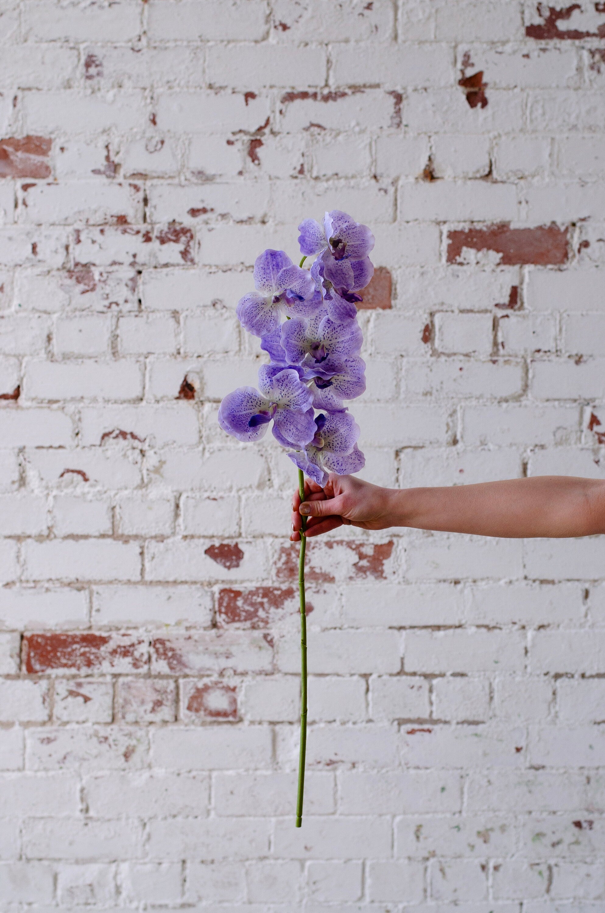 Real touch purple faux orchid stem, diy wedding flowers, 77cm cake flowers and floral arrangements